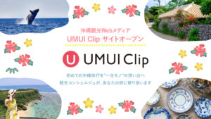 UMUI Clipリリース記事